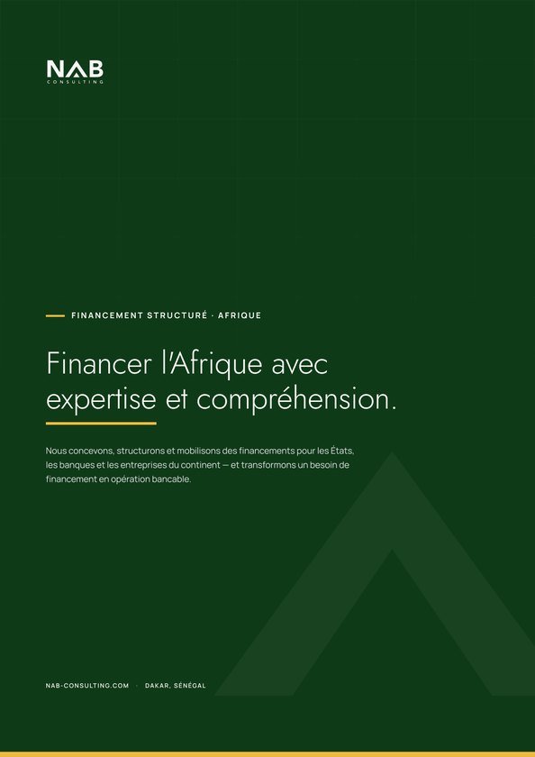 Couverture de la plaquette de présentation de NAB Consulting